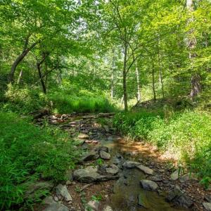 Photo #1 of Center Methodist Church, Troy, NC 21.6 acres