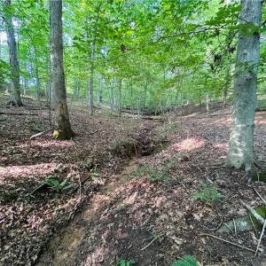 Photo #23 of TBD Trinity Church, Tobaccoville, NC 4.4 acres