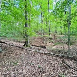 Photo #27 of TBD Trinity Church, Tobaccoville, NC 4.4 acres
