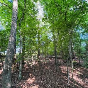 Photo #13 of TBD Trinity Church, Tobaccoville, NC 4.4 acres