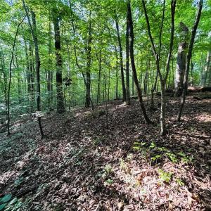 Photo #16 of TBD Trinity Church, Tobaccoville, NC 4.4 acres