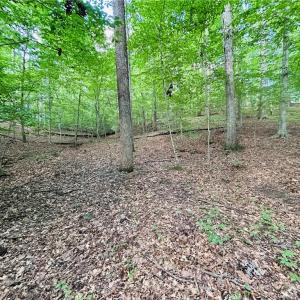 Photo #26 of TBD Trinity Church, Tobaccoville, NC 4.4 acres