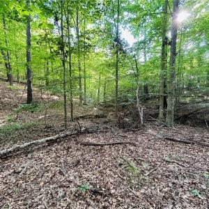Photo #22 of TBD Trinity Church, Tobaccoville, NC 4.4 acres