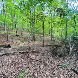 Photo #28 of TBD Trinity Church, Tobaccoville, NC 4.4 acres