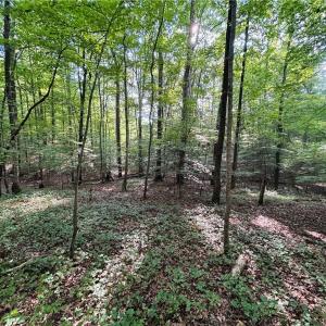 Photo #20 of TBD Trinity Church, Tobaccoville, NC 4.4 acres