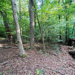 Photo #9 of TBD Trinity Church, Tobaccoville, NC 4.4 acres