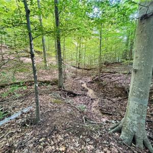 Photo #24 of TBD Trinity Church, Tobaccoville, NC 4.4 acres