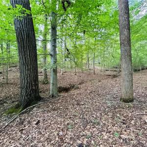 Photo #30 of TBD Trinity Church, Tobaccoville, NC 4.4 acres