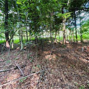 Photo #10 of TBD Trinity Church, Tobaccoville, NC 4.4 acres