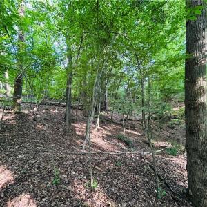 Photo #14 of TBD Trinity Church, Tobaccoville, NC 4.4 acres