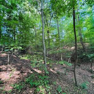Photo #18 of TBD Trinity Church, Tobaccoville, NC 4.4 acres