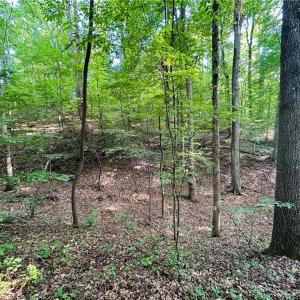 Photo #15 of TBD Trinity Church, Tobaccoville, NC 4.4 acres