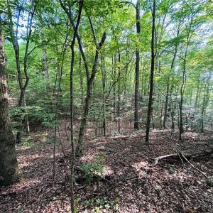 Photo #11 of TBD Trinity Church, Tobaccoville, NC 4.4 acres
