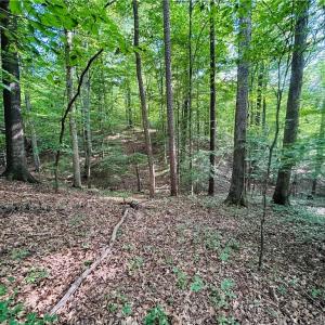 Photo #19 of TBD Trinity Church, Tobaccoville, NC 4.4 acres