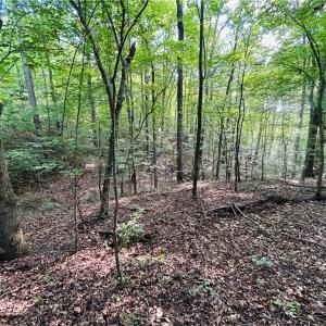 Photo #31 of TBD Trinity Church, Tobaccoville, NC 4.4 acres