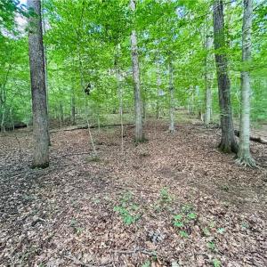 Photo #25 of TBD Trinity Church, Tobaccoville, NC 4.4 acres