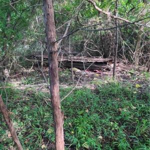 Photo #13 of 5500 Pisgah Covered Bridge, Asheboro, NC 26.4 acres