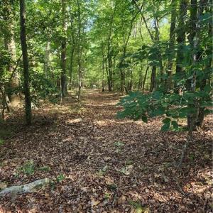 Old Wagon Trail