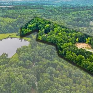 Photo #13 of 6548 Bethel Church, Gibsonville, NC 10.1 acres