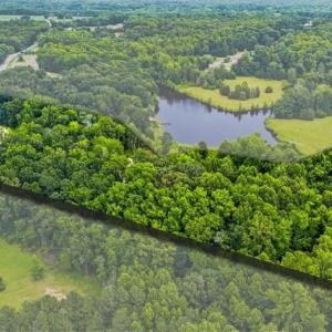 Photo #10 of 6548 Bethel Church, Gibsonville, NC 10.1 acres