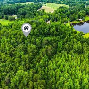 Photo #8 of 6548 Bethel Church, Gibsonville, NC 10.1 acres