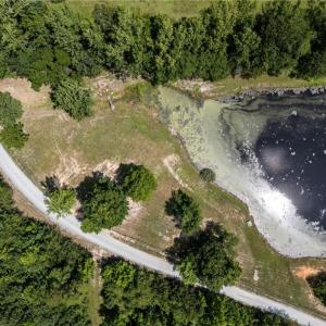 Photo #2 of Mudlee, Hurdle Mills, NC 1.7 acres