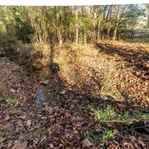 Photo #23 of 120 Brookberry, Jamestown, NC 7.9 acres