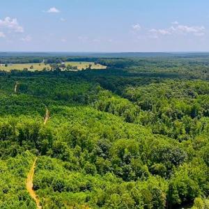 Photo #20 of US Highway 220, Asheboro, NC 32.3 acres