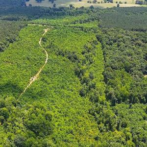 Photo #4 of US Highway 220, Asheboro, NC 32.3 acres