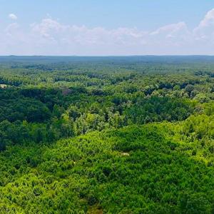 Photo #17 of US Highway 220, Asheboro, NC 32.3 acres