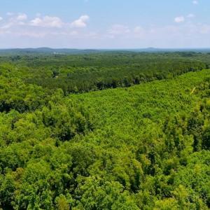 Photo #7 of US Highway 220, Asheboro, NC 32.3 acres