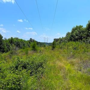 Photo #21 of US Highway 220, Asheboro, NC 32.3 acres