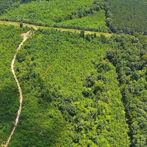 Photo #18 of US Highway 220, Asheboro, NC 32.3 acres