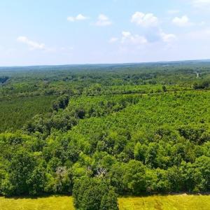 Photo #12 of US Highway 220, Asheboro, NC 32.3 acres