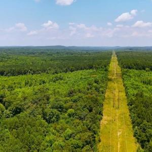 Photo #9 of US Highway 220, Asheboro, NC 32.3 acres