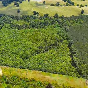 Photo #10 of US Highway 220, Asheboro, NC 32.3 acres