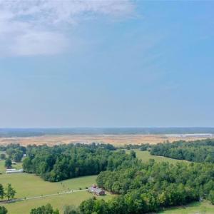 Photo #13 of 6972 Bowman Dairy, Liberty, NC 31.3 acres