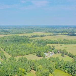 Photo #26 of 6972 Bowman Dairy, Liberty, NC 31.3 acres