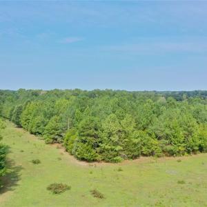 Photo #7 of 6972 Bowman Dairy, Liberty, NC 31.3 acres