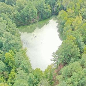Photo #32 of 6972 Bowman Dairy, Liberty, NC 31.3 acres
