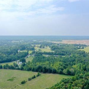 Photo #20 of 6972 Bowman Dairy, Liberty, NC 31.3 acres