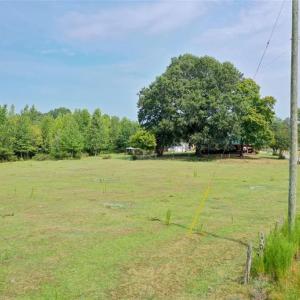Photo #9 of 6972 Bowman Dairy, Liberty, NC 31.3 acres