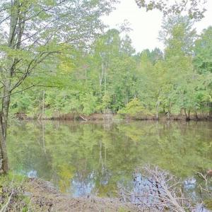 Photo #38 of 6972 Bowman Dairy, Liberty, NC 31.3 acres