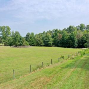 Photo #11 of 6972 Bowman Dairy, Liberty, NC 31.3 acres