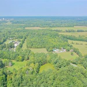 Photo #31 of 6972 Bowman Dairy, Liberty, NC 31.3 acres