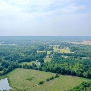 Photo #21 of 6972 Bowman Dairy, Liberty, NC 31.3 acres