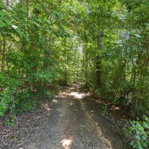 Photo #3 of 425 Bunker Hill, Colfax, NC 8.9 acres