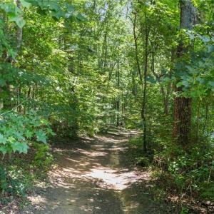 Photo #8 of 425 Bunker Hill, Colfax, NC 8.9 acres