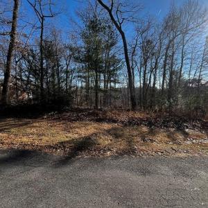 Photo #6 of Virgilina, Cana, VA 0.8 acres