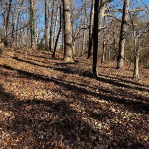 Photo #7 of Virgilina, Cana, VA 0.8 acres